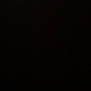 Meet your Posher, Quincy